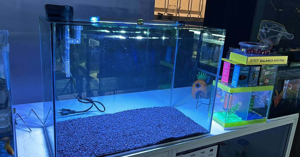 Peixes Ornamentais e Plantas